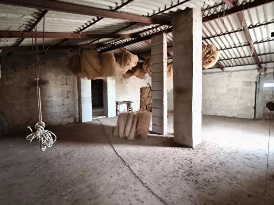 Immagine 55 di Rustico / casale in vendita  a Alberobello