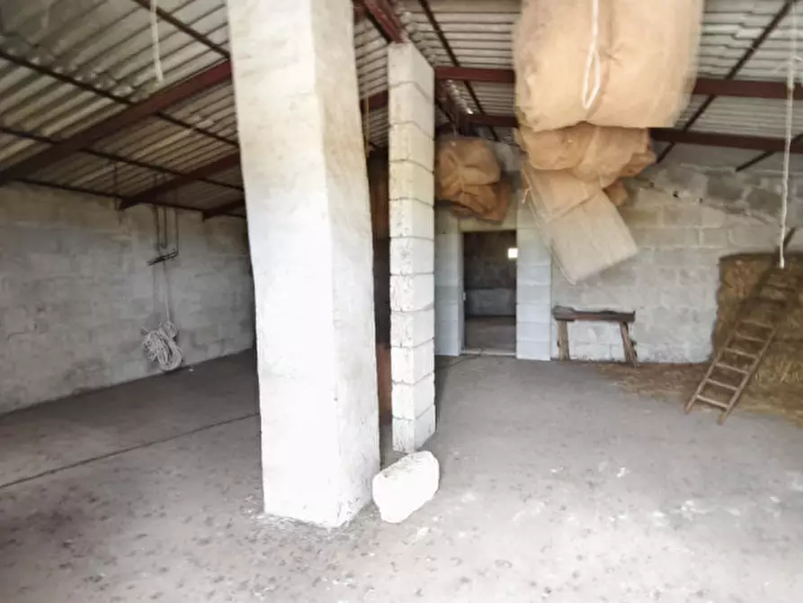 Immagine 57 di Rustico / casale in vendita  a Alberobello