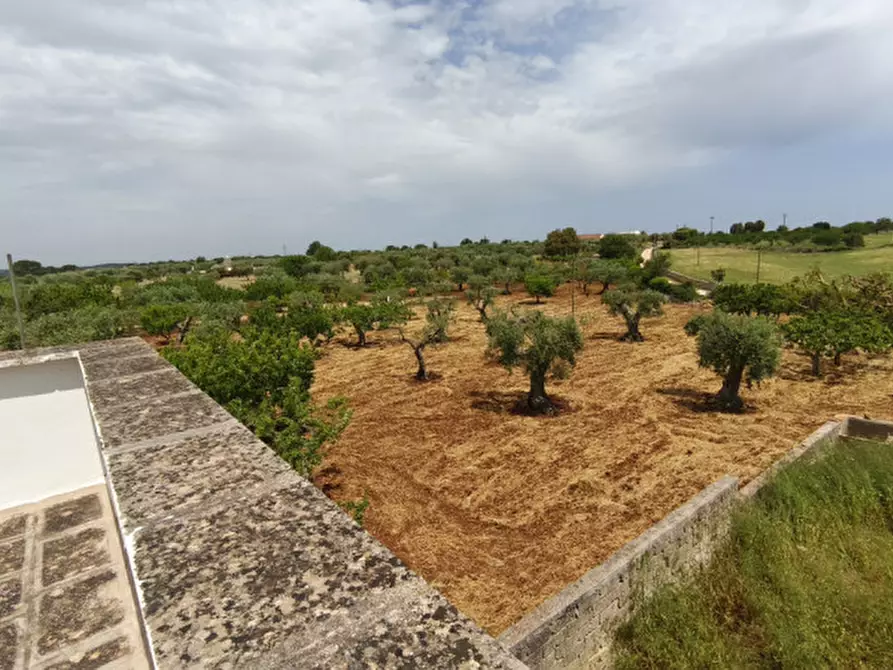 Immagine 59 di Rustico / casale in vendita  a Alberobello