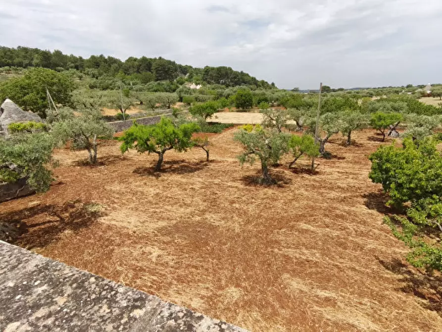 Immagine 60 di Rustico / casale in vendita  a Alberobello