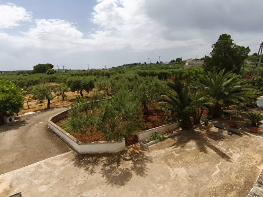 Immagine 66 di Rustico / casale in vendita  a Alberobello