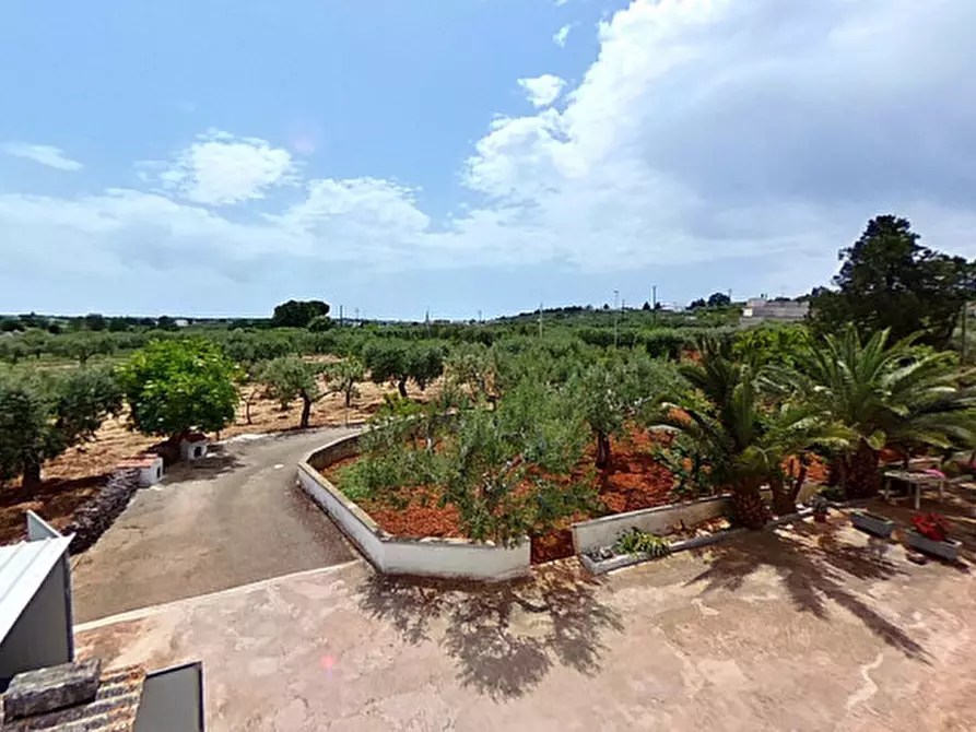 Immagine 69 di Rustico / casale in vendita  a Alberobello