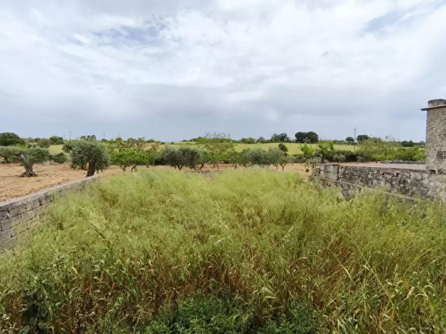 Immagine 79 di Rustico / casale in vendita  a Alberobello