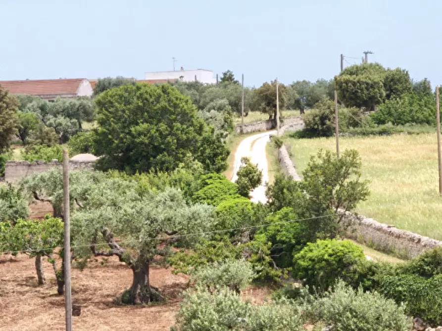 Immagine 85 di Rustico / casale in vendita  a Alberobello