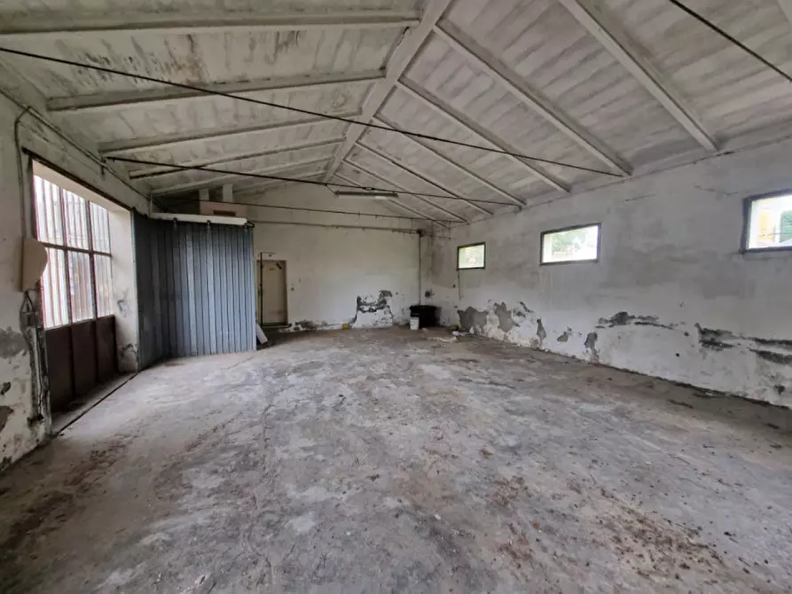 Immagine 9 di Villa in vendita  in Via Maestri a Gambettola