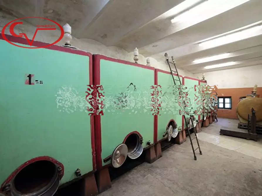 Immagine 11 di Villa in vendita  a Montevarchi