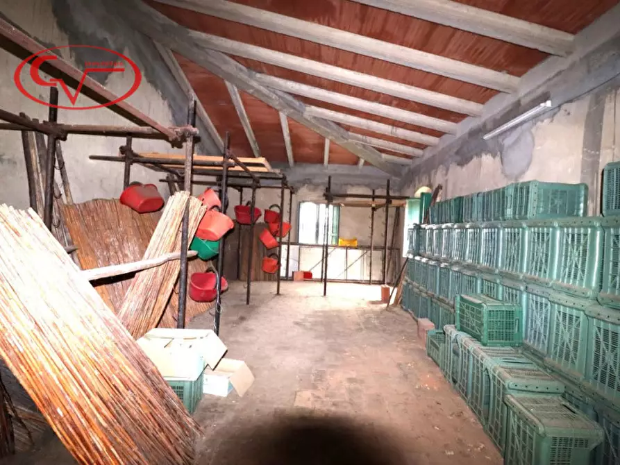 Immagine 48 di Villa in vendita  a Montevarchi