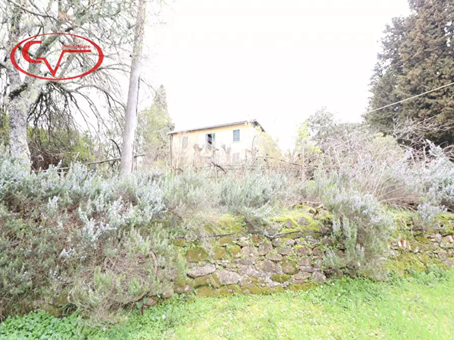Immagine 52 di Villa in vendita  a Montevarchi