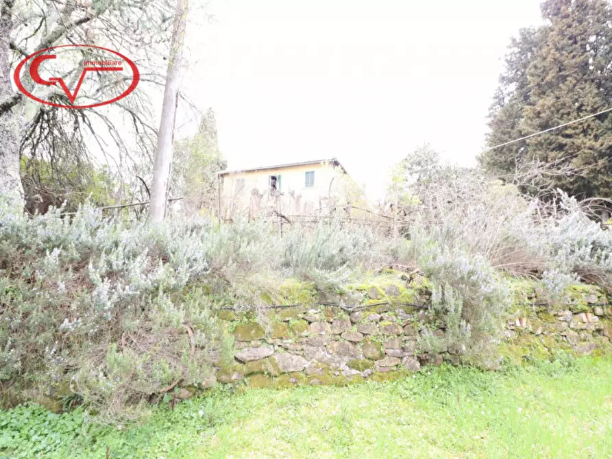 Immagine 53 di Villa in vendita  a Montevarchi