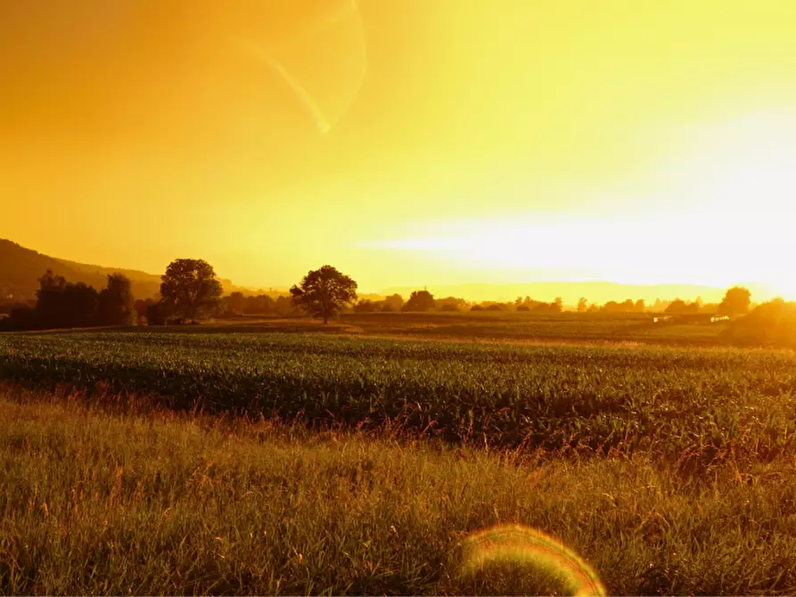 Immagine 20 di Terreno in vendita  in via colorno a Sorbolo Mezzani