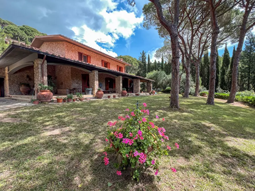 Immagine 1 di Villa in vendita  a Castiglione Della Pescaia