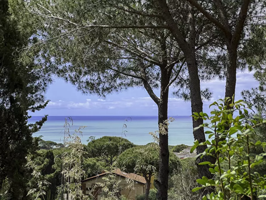 Immagine 26 di Villa in vendita  a Castiglione Della Pescaia
