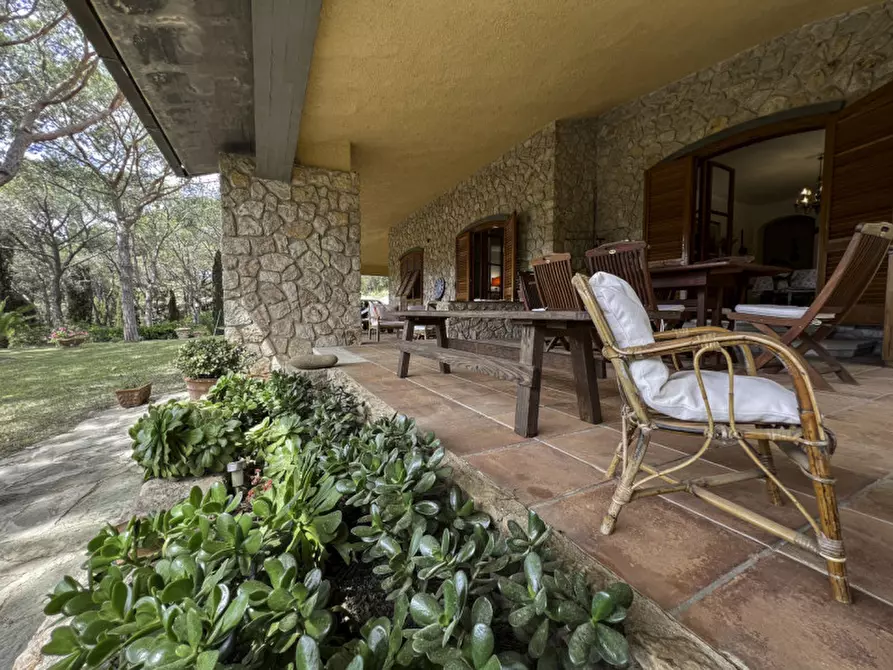 Immagine 38 di Villa in vendita  a Castiglione Della Pescaia