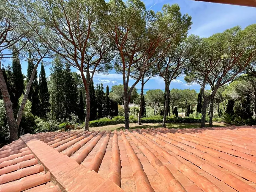 Immagine 40 di Villa in vendita  a Castiglione Della Pescaia