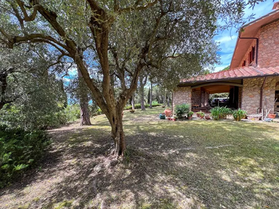 Immagine 41 di Villa in vendita  a Castiglione Della Pescaia