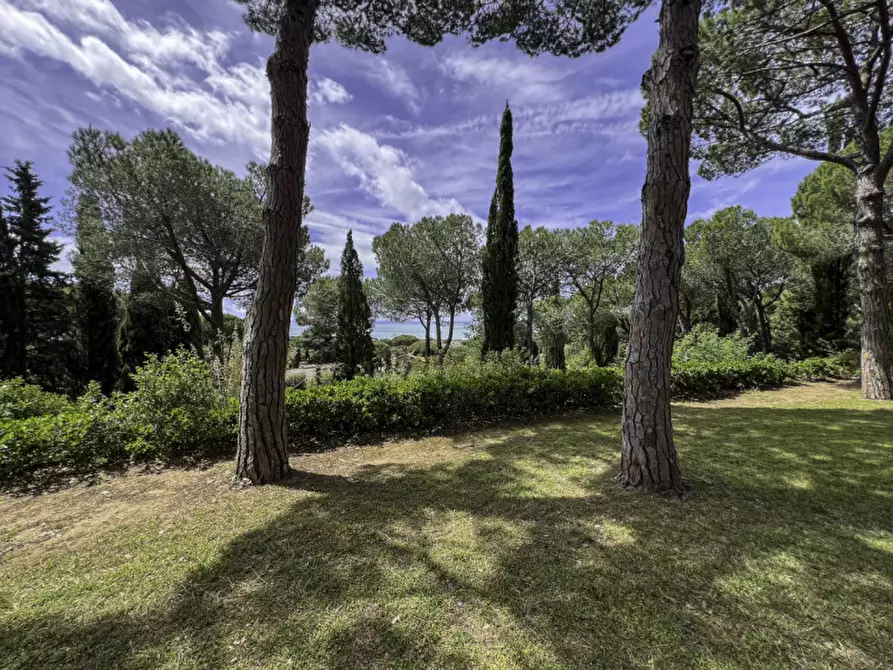 Immagine 44 di Villa in vendita  a Castiglione Della Pescaia