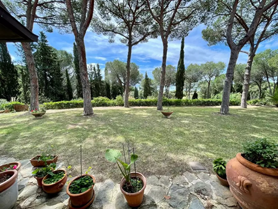 Immagine 46 di Villa in vendita  a Castiglione Della Pescaia