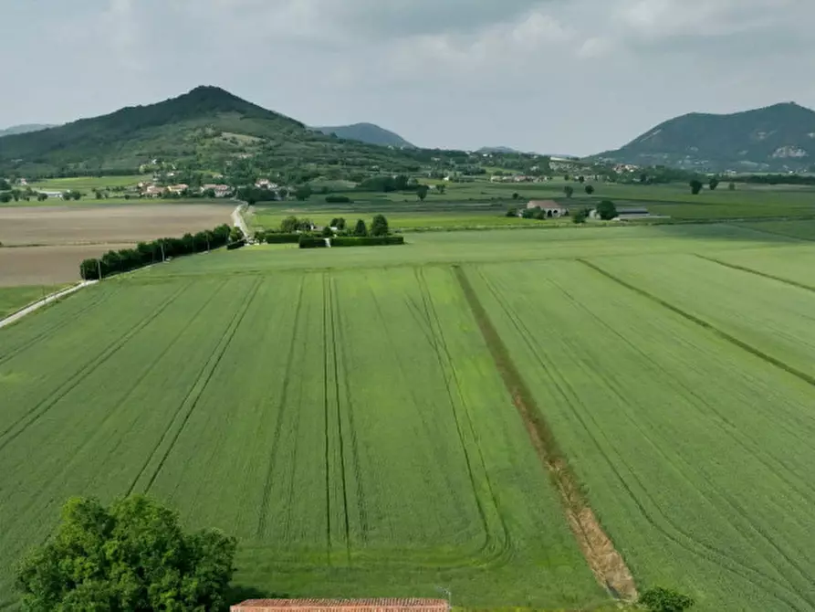 Immagine 2 di Terreno in vendita  in VIA RANA a Baone