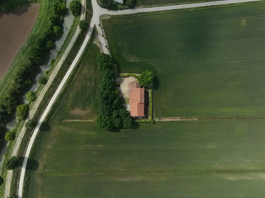 Immagine 3 di Terreno in vendita  in VIA RANA a Baone