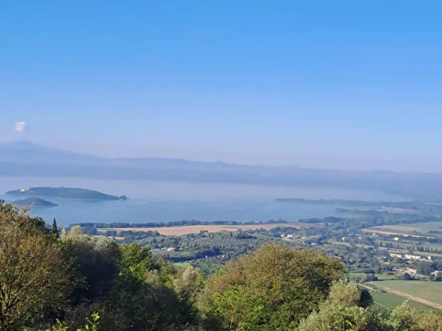 Immagine 1 di Terreno in vendita  a Passignano Sul Trasimeno