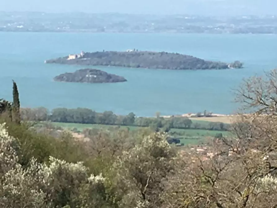 Immagine 4 di Terreno in vendita  a Passignano Sul Trasimeno