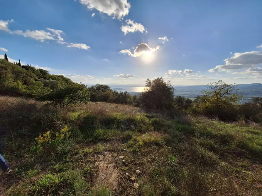 Immagine 6 di Terreno in vendita  a Passignano Sul Trasimeno