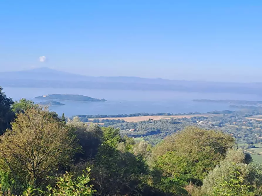 Immagine 7 di Terreno in vendita  a Passignano Sul Trasimeno