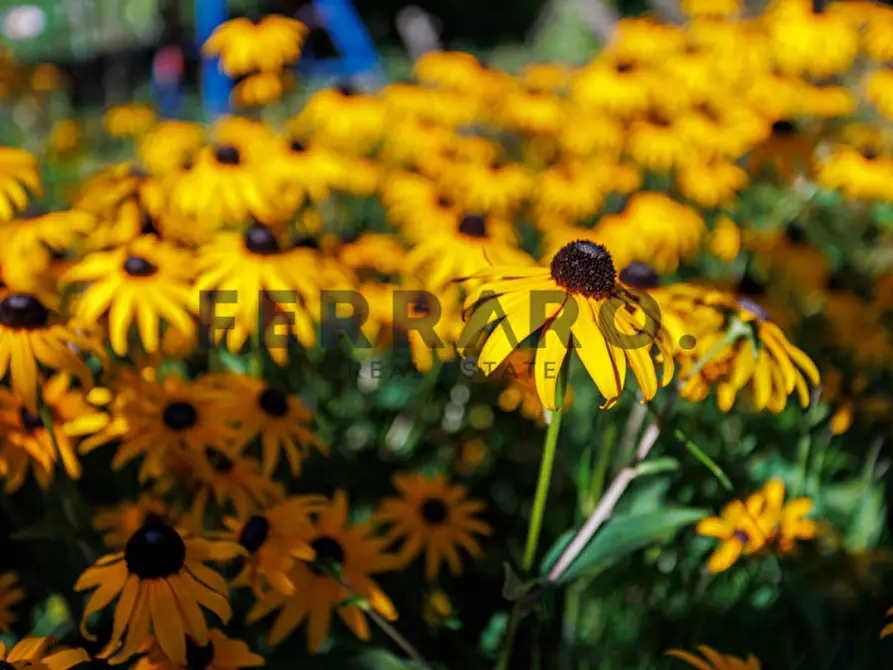 Immagine 4 di Villa in vendita  in Via Monte Croce a Zero Branco