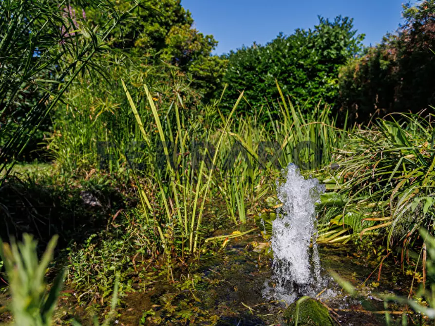 Immagine 5 di Villa in vendita  in Via Monte Croce a Zero Branco