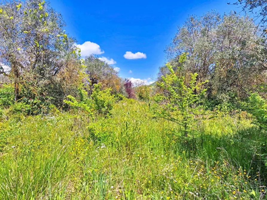 Immagine 5 di Rustico / casale in vendita  in Strada Ponte D'oddi, N. 267, 267/BIS e 267/A a Perugia