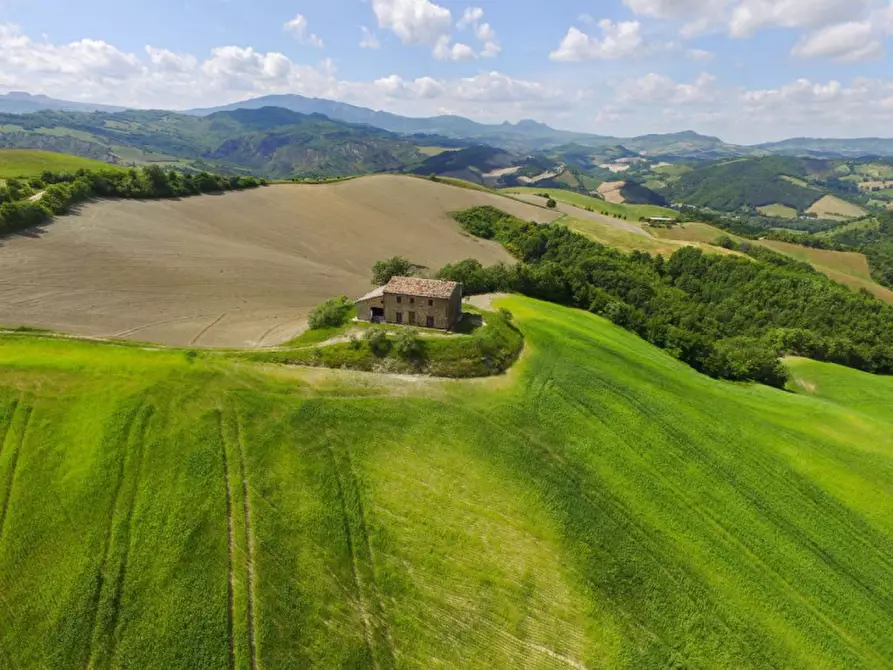 Immagine 2 di Rustico / casale in vendita  in Località Pirlo a Piandimeleto