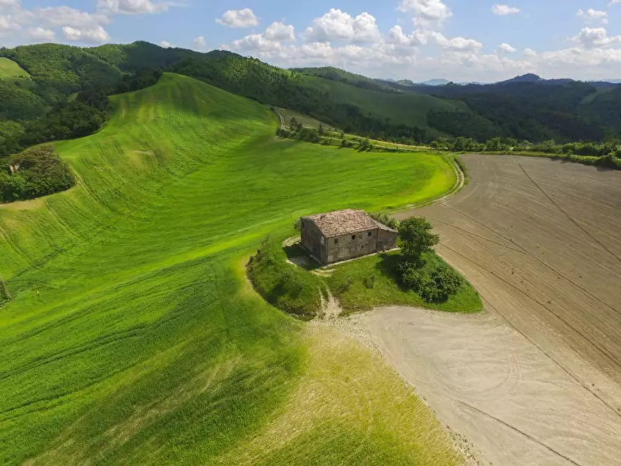 Immagine 3 di Rustico / casale in vendita  in Località Pirlo a Piandimeleto