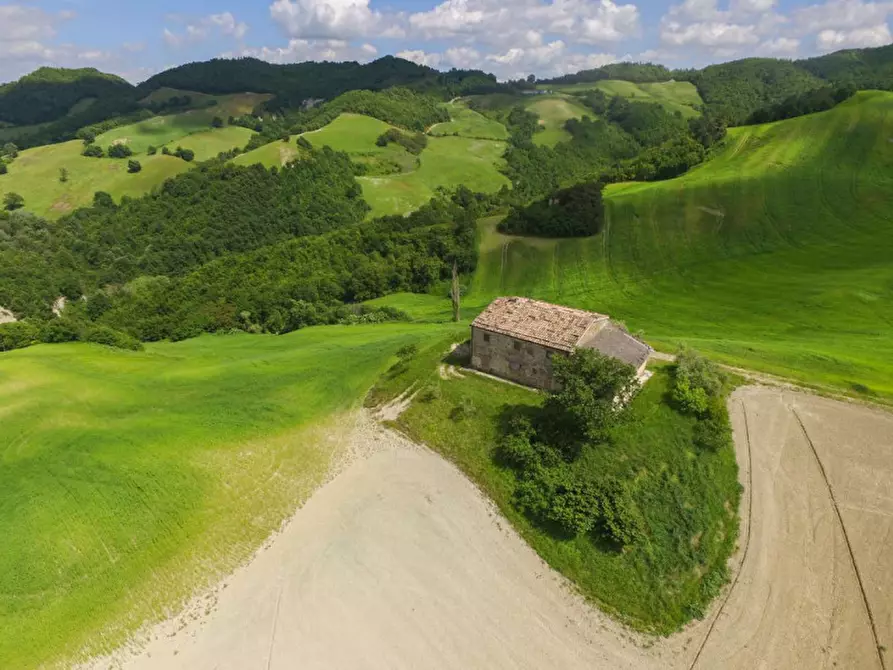 Immagine 4 di Rustico / casale in vendita  in Località Pirlo a Piandimeleto