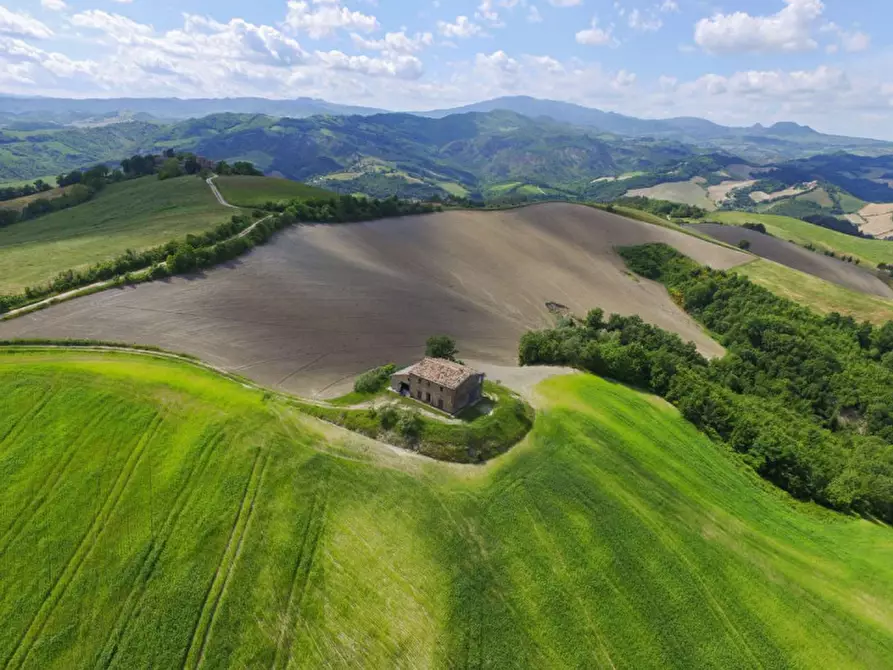 Immagine 5 di Rustico / casale in vendita  in Località Pirlo a Piandimeleto