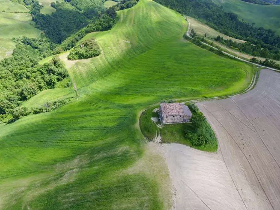 Immagine 6 di Rustico / casale in vendita  in Località Pirlo a Piandimeleto