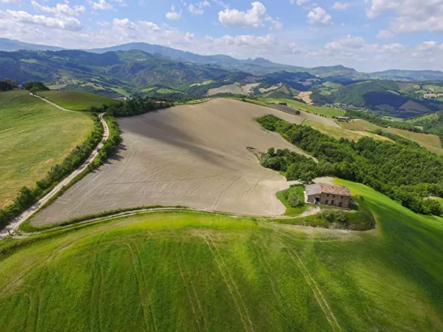 Immagine 7 di Rustico / casale in vendita  in Località Pirlo a Piandimeleto