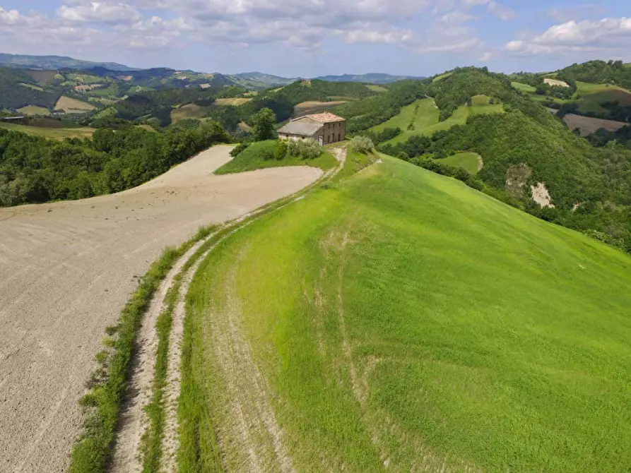 Immagine 8 di Rustico / casale in vendita  in Località Pirlo a Piandimeleto