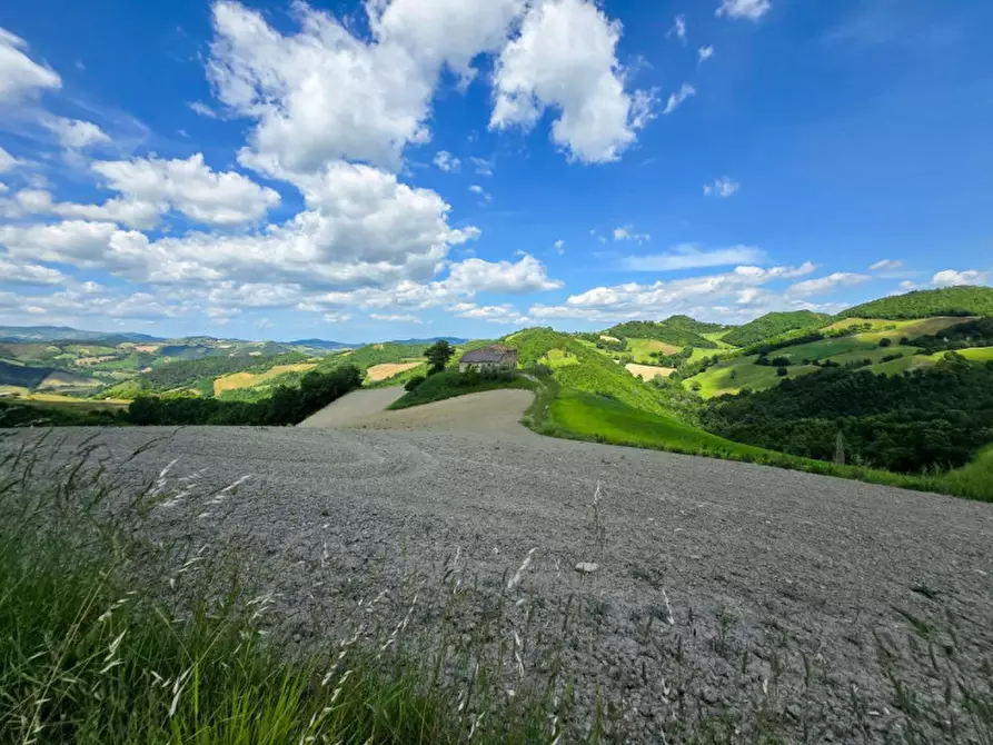 Immagine 10 di Rustico / casale in vendita  in Località Pirlo a Piandimeleto