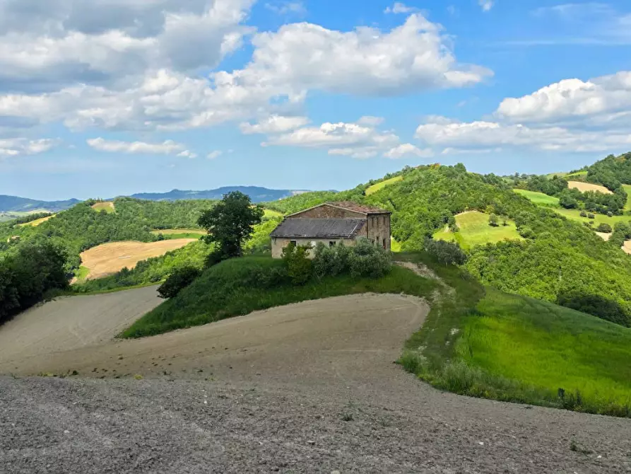 Immagine 11 di Rustico / casale in vendita  in Località Pirlo a Piandimeleto