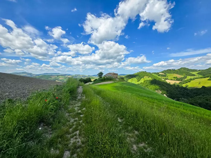 Immagine 12 di Rustico / casale in vendita  in Località Pirlo a Piandimeleto