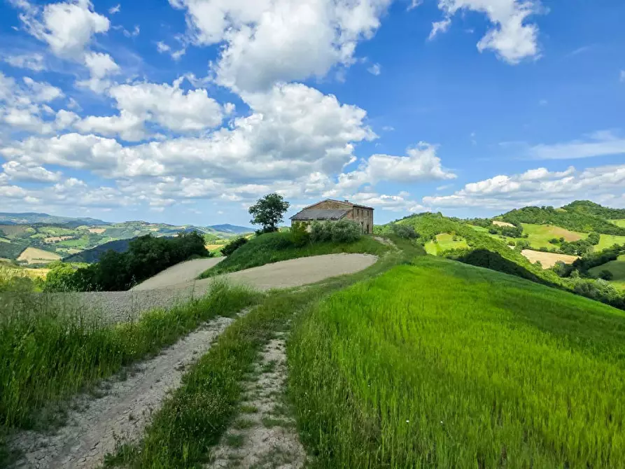 Immagine 13 di Rustico / casale in vendita  in Località Pirlo a Piandimeleto