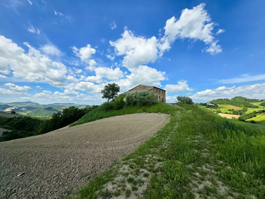Immagine 14 di Rustico / casale in vendita  in Località Pirlo a Piandimeleto