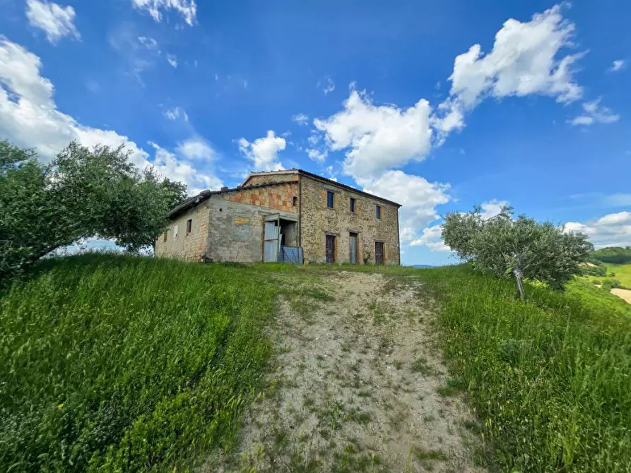 Immagine 15 di Rustico / casale in vendita  in Località Pirlo a Piandimeleto