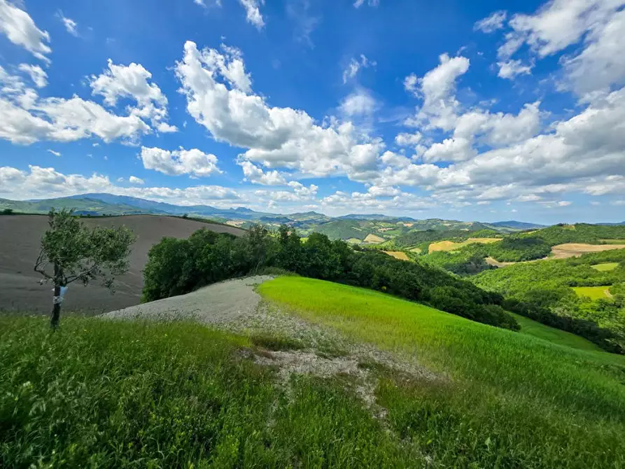 Immagine 17 di Rustico / casale in vendita  in Località Pirlo a Piandimeleto