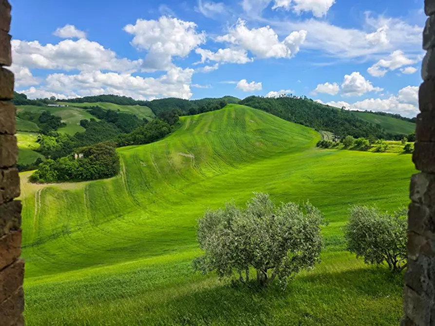 Immagine 30 di Rustico / casale in vendita  in Località Pirlo a Piandimeleto