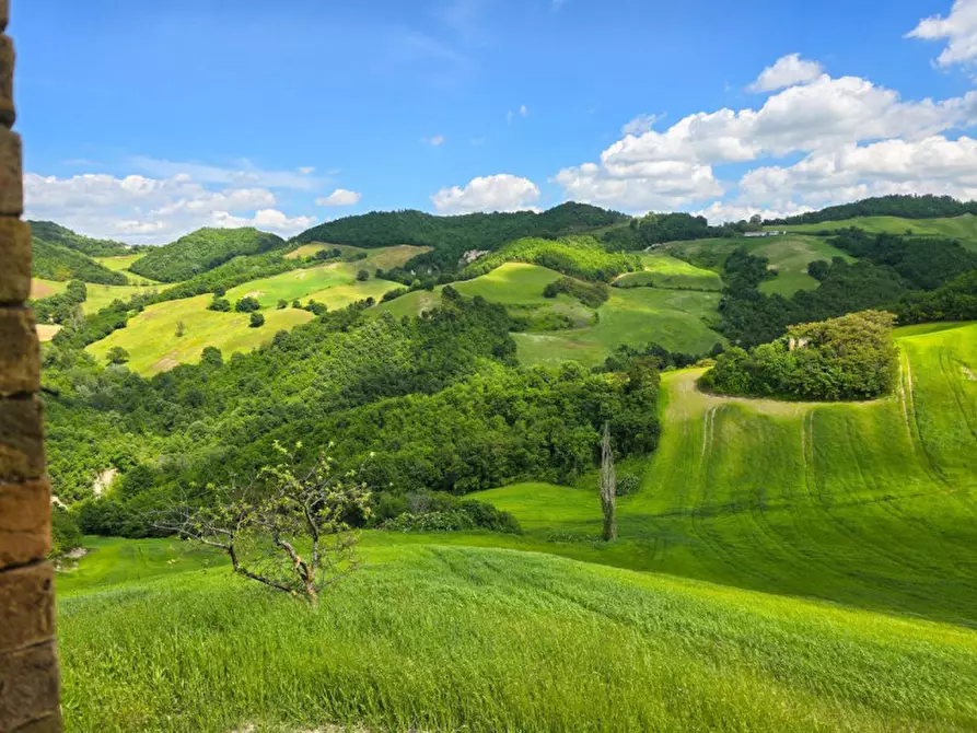 Immagine 31 di Rustico / casale in vendita  in Località Pirlo a Piandimeleto