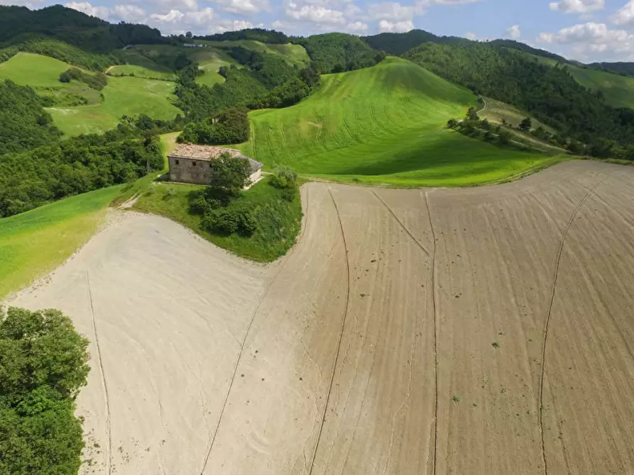 Immagine 32 di Rustico / casale in vendita  in Località Pirlo a Piandimeleto