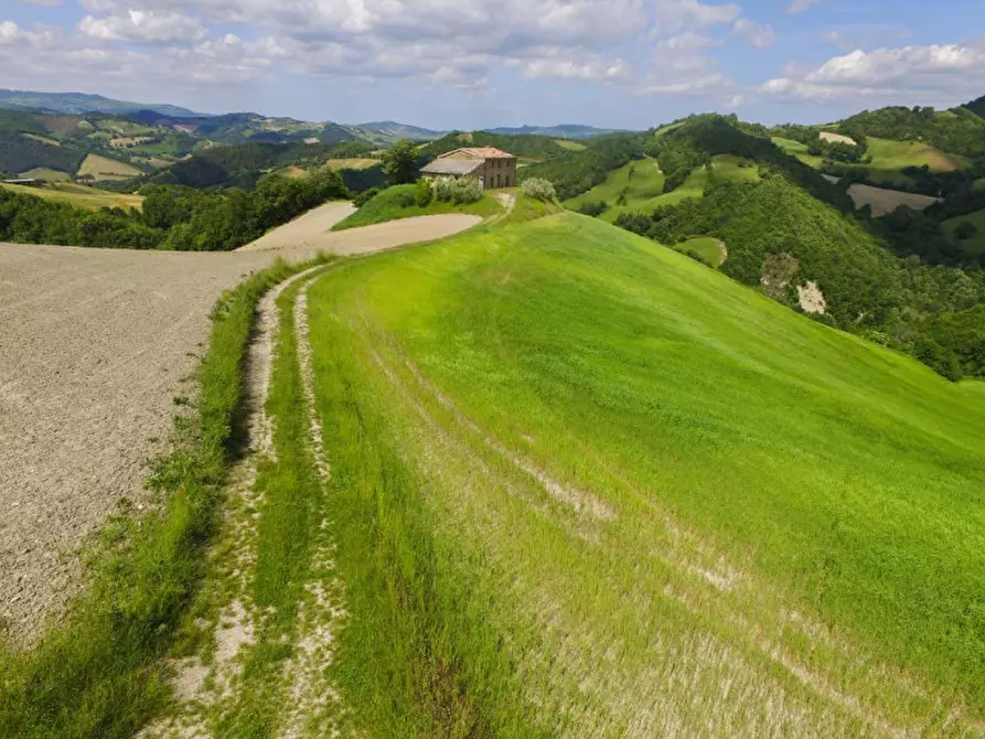 Immagine 33 di Rustico / casale in vendita  in Località Pirlo a Piandimeleto