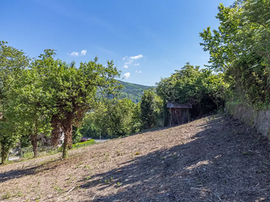 Immagine 3 di Terreno in vendita  in Via Salvo D'Acquisto a Tavernerio