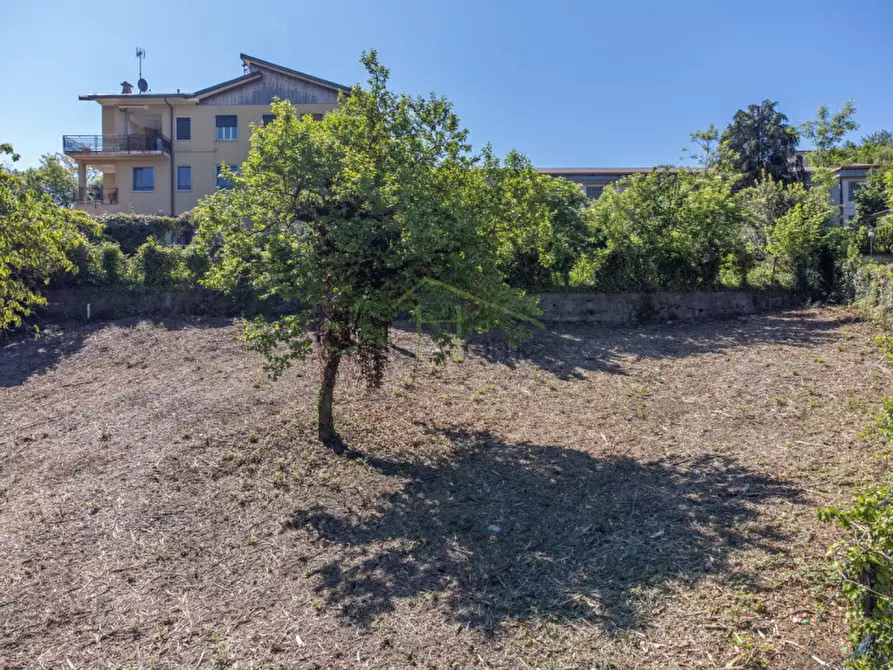 Immagine 5 di Terreno in vendita  in Via Salvo D'Acquisto a Tavernerio